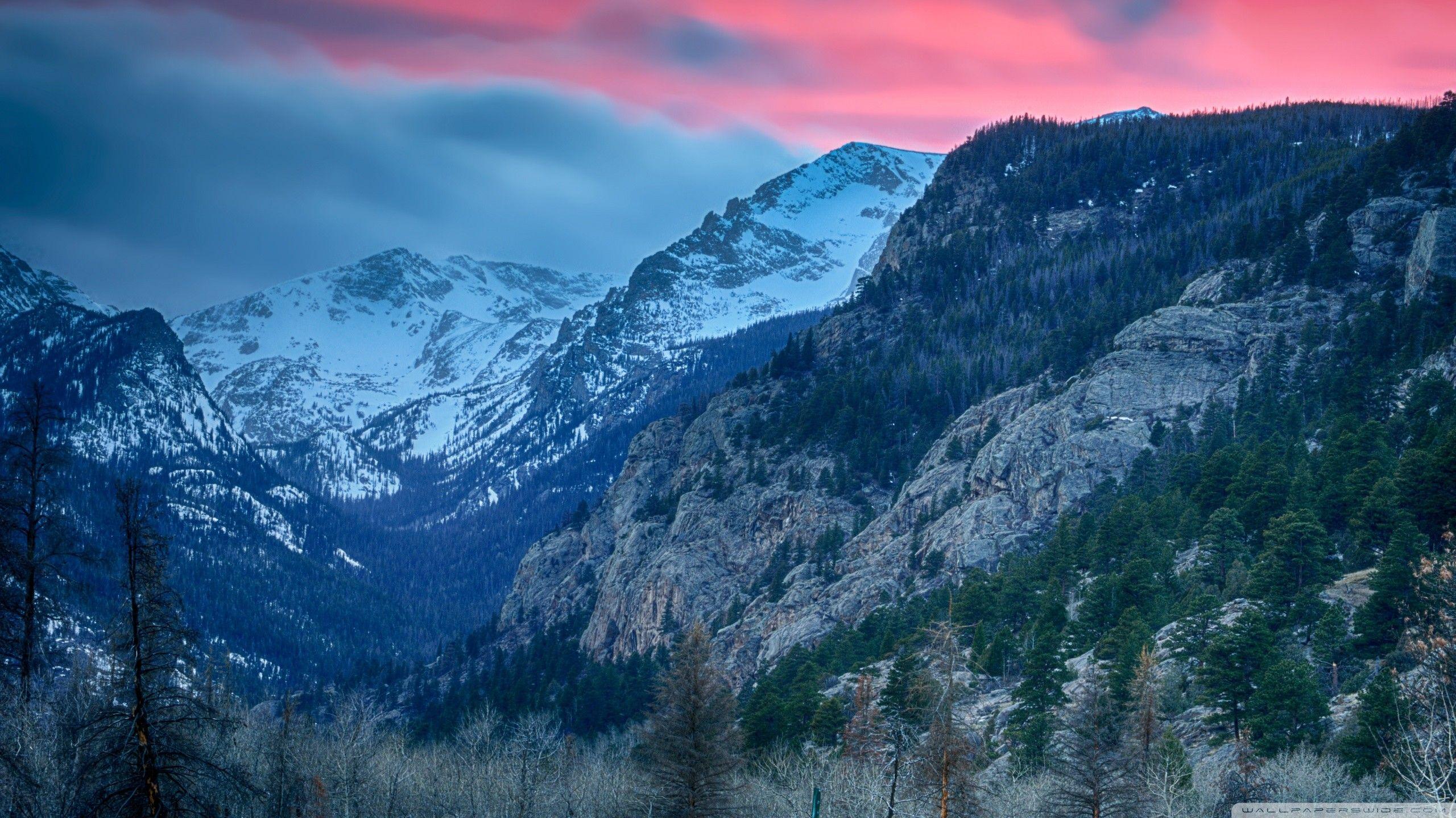 2560x1440 Rocky Mountain National Park Wallpaper