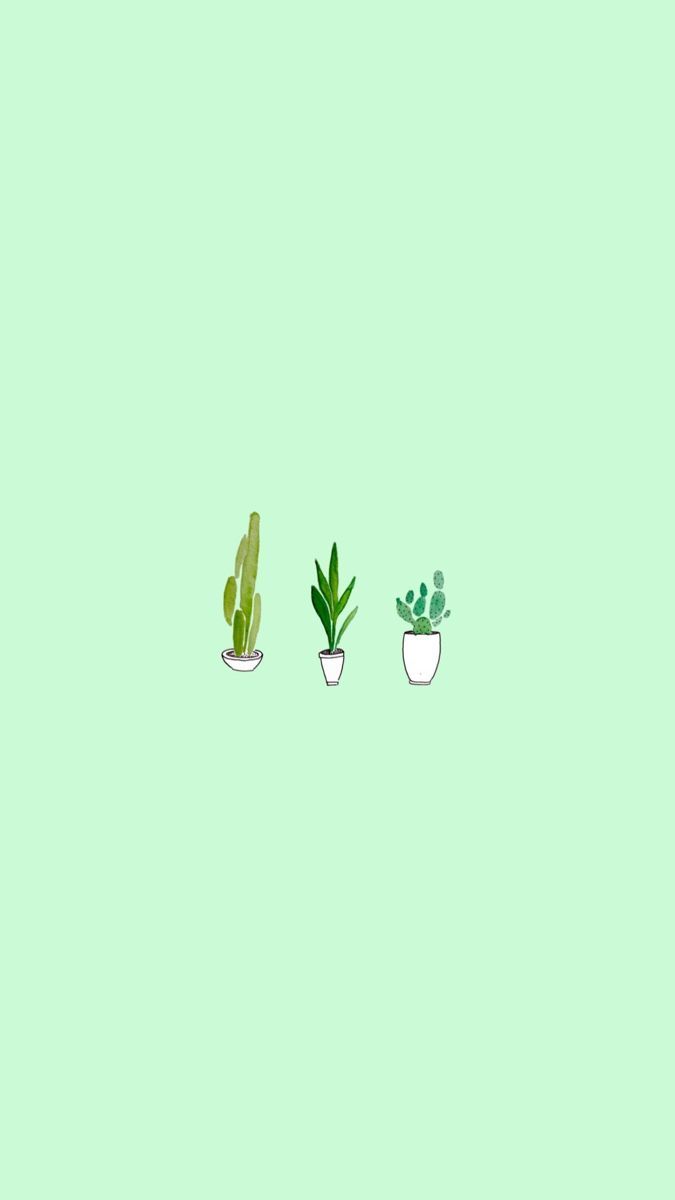 675x1200 Preppy Green Wallpaper