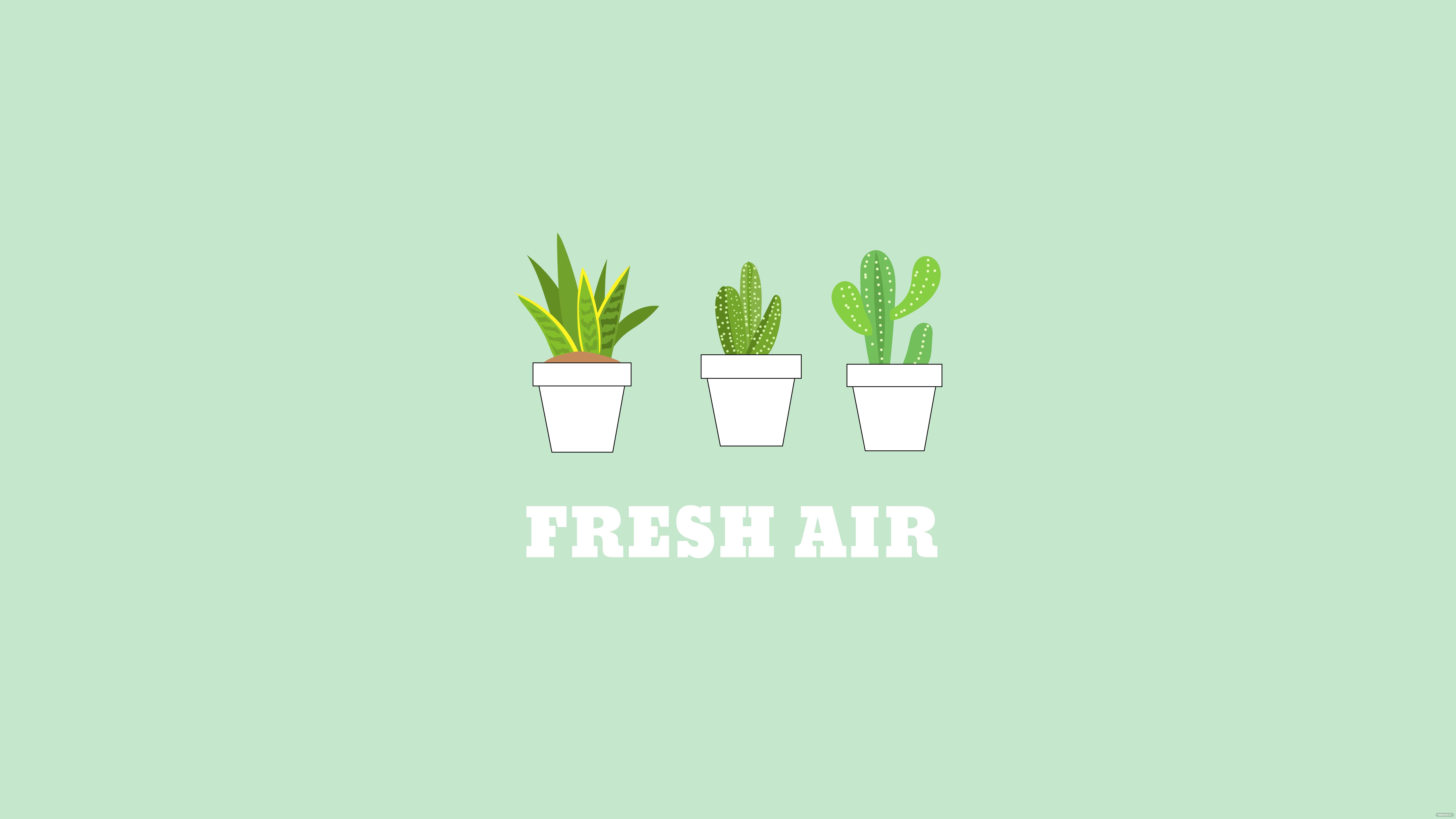 8000x4500 Mint Green Preppy Wallpaper. Preppy
