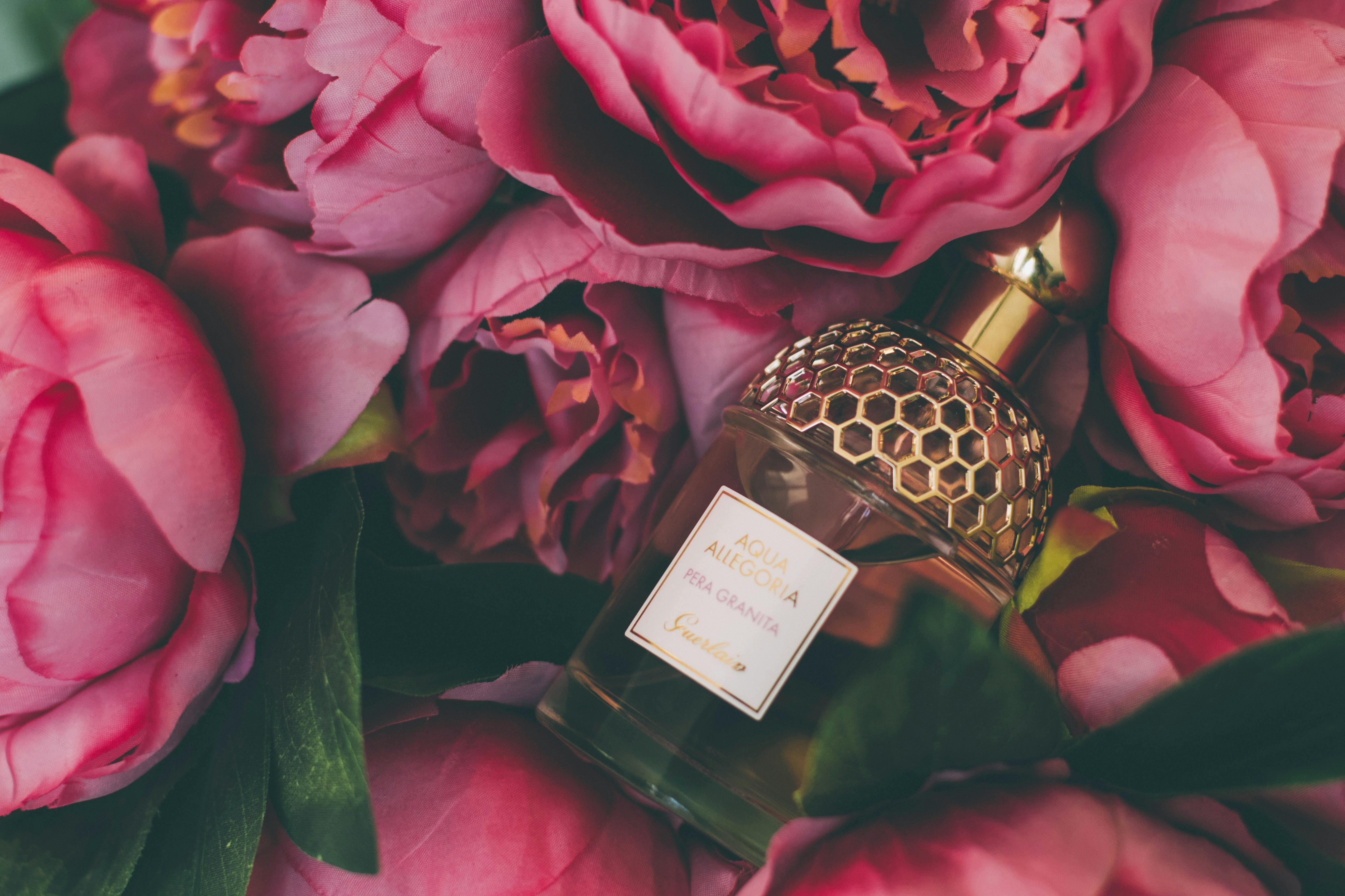 6000x4000 Perfume Photo, Download The BEST Free
