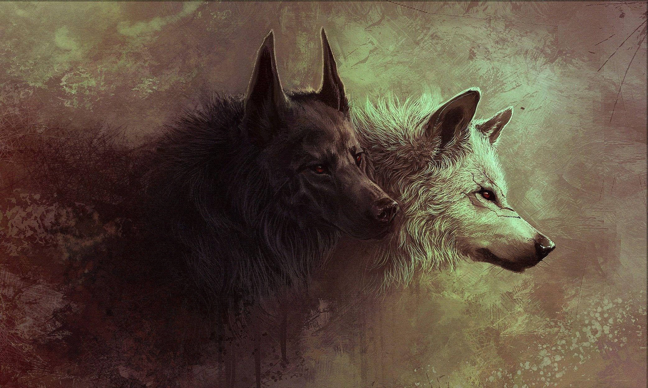 2084x1249 Wolf Background, Wallpaper, Image, Picture. Design Trends