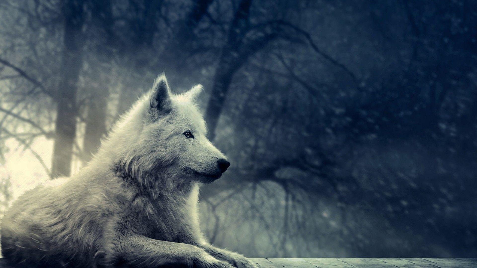 1920x1080 Teen Wolf Wallpaper (72)