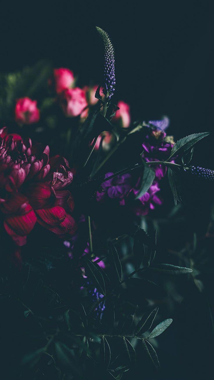 736x1308 iPhone Wallpaper. Violet, Purple, Red, Flower, Pink, Plant
