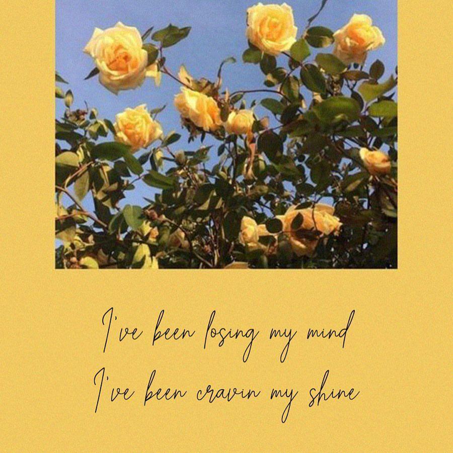 900x900 BTS Lyrics Wallpaper on Instagram