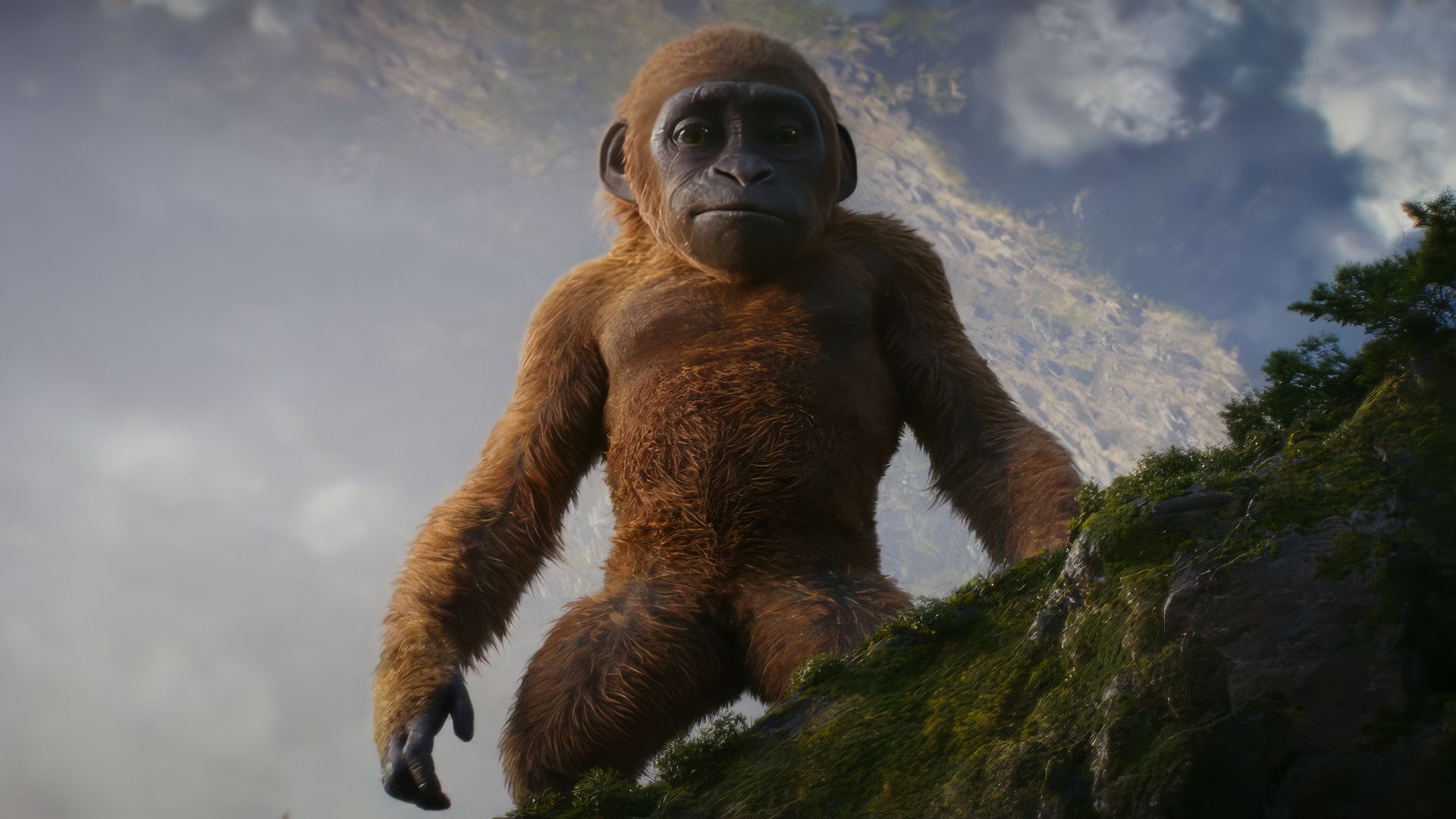 1920x1080 Download wallpaper 1920x1080 baby kong