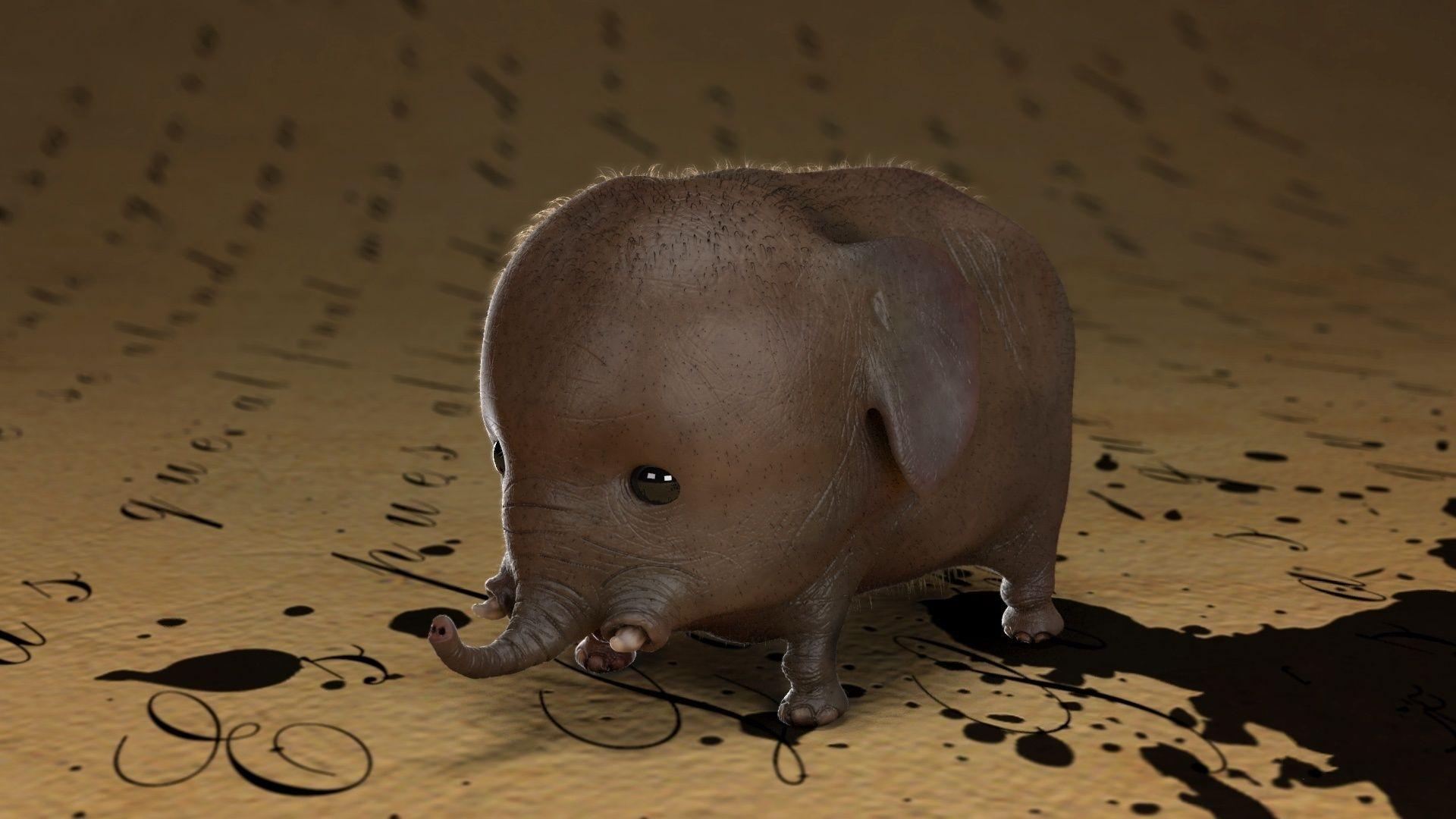 1920x1080 Elephant Calf wallpaper