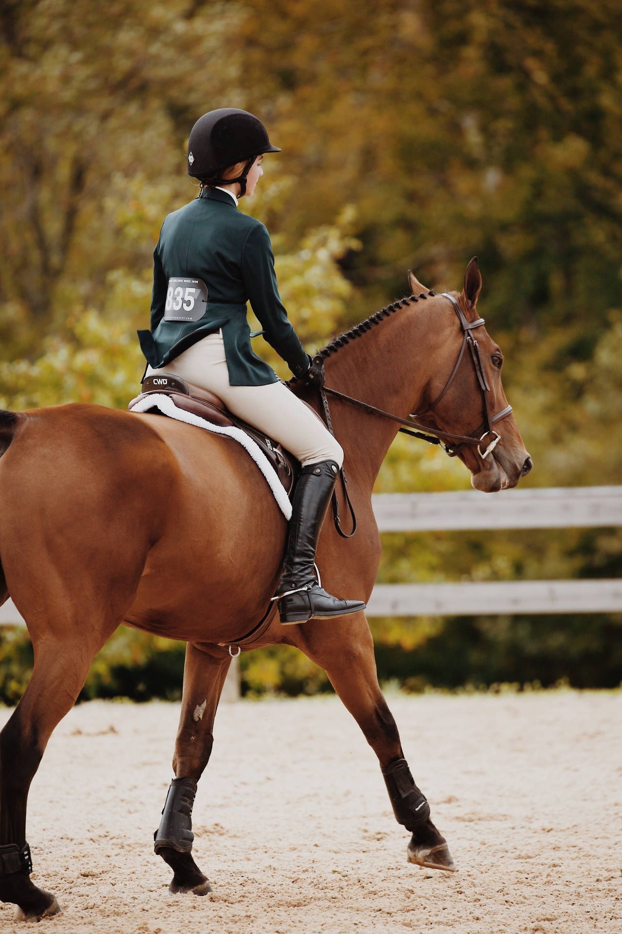 1280x1920 Dressage Horse iPhone Wallpaper
