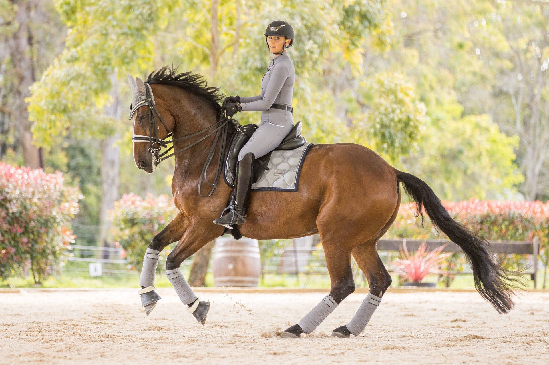 1920x1278 Download Beautiful Female Equestrian