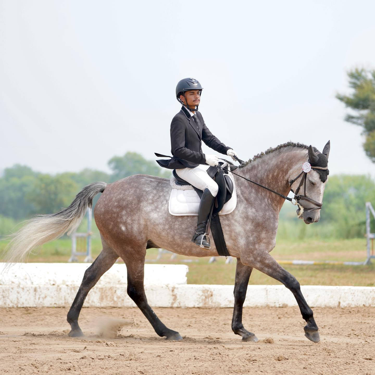 1440x1440 Download Gentleman Equestrian Horseback