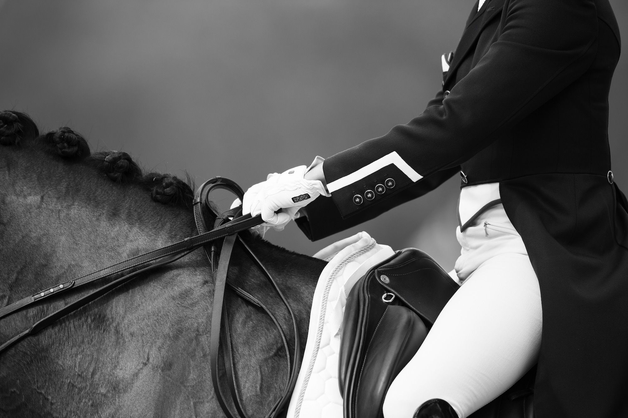 2000x1333 Queen Charlotte: Dressage Day 2