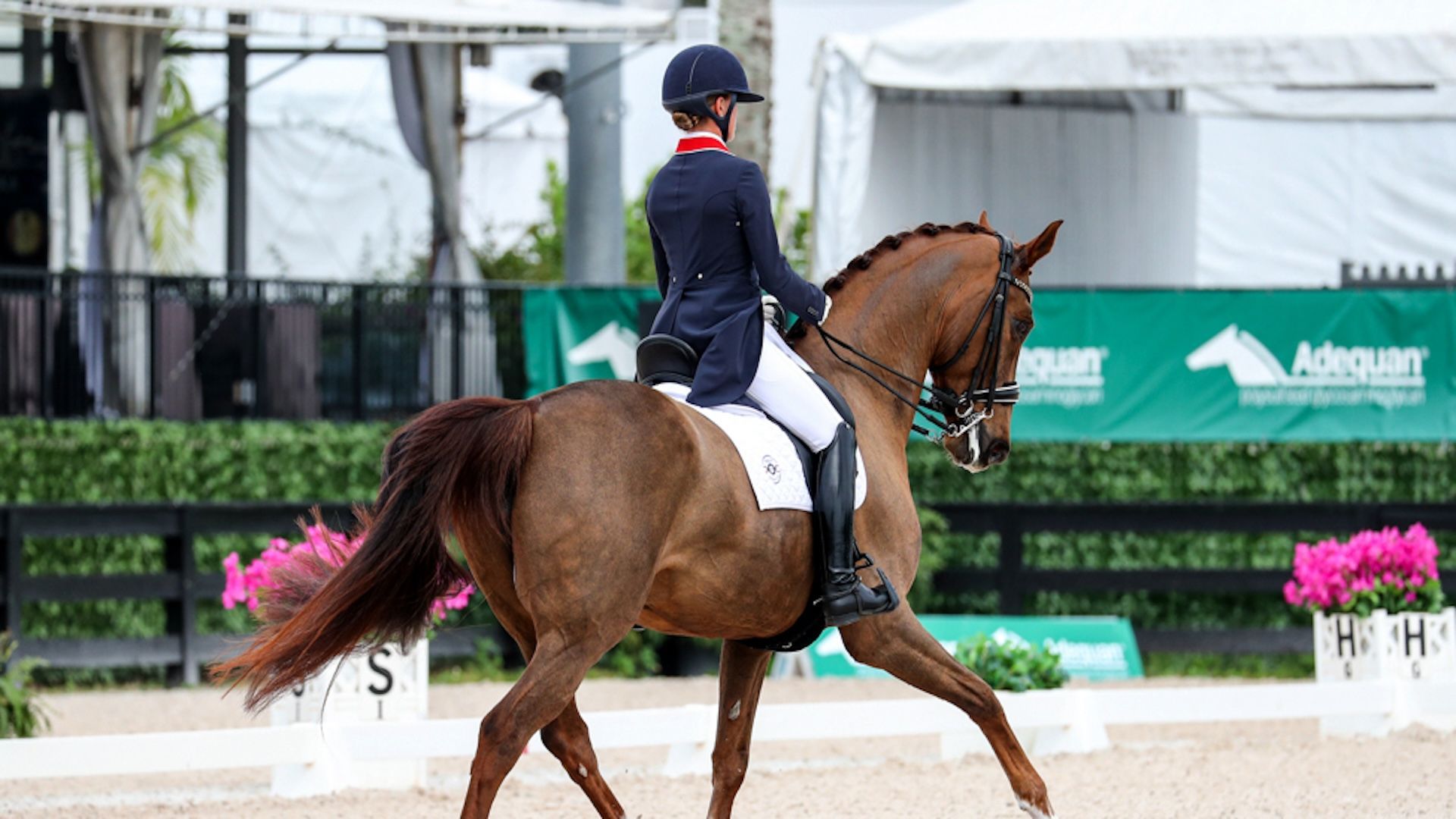 1920x1080 Global Dressage Festival LLC