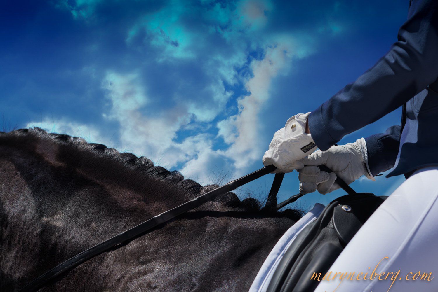 1500x1001 Santa Fe Dressage Association
