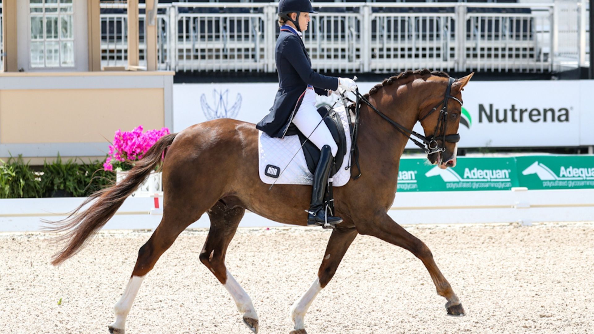 1920x1080 Global Dressage Festival LLC