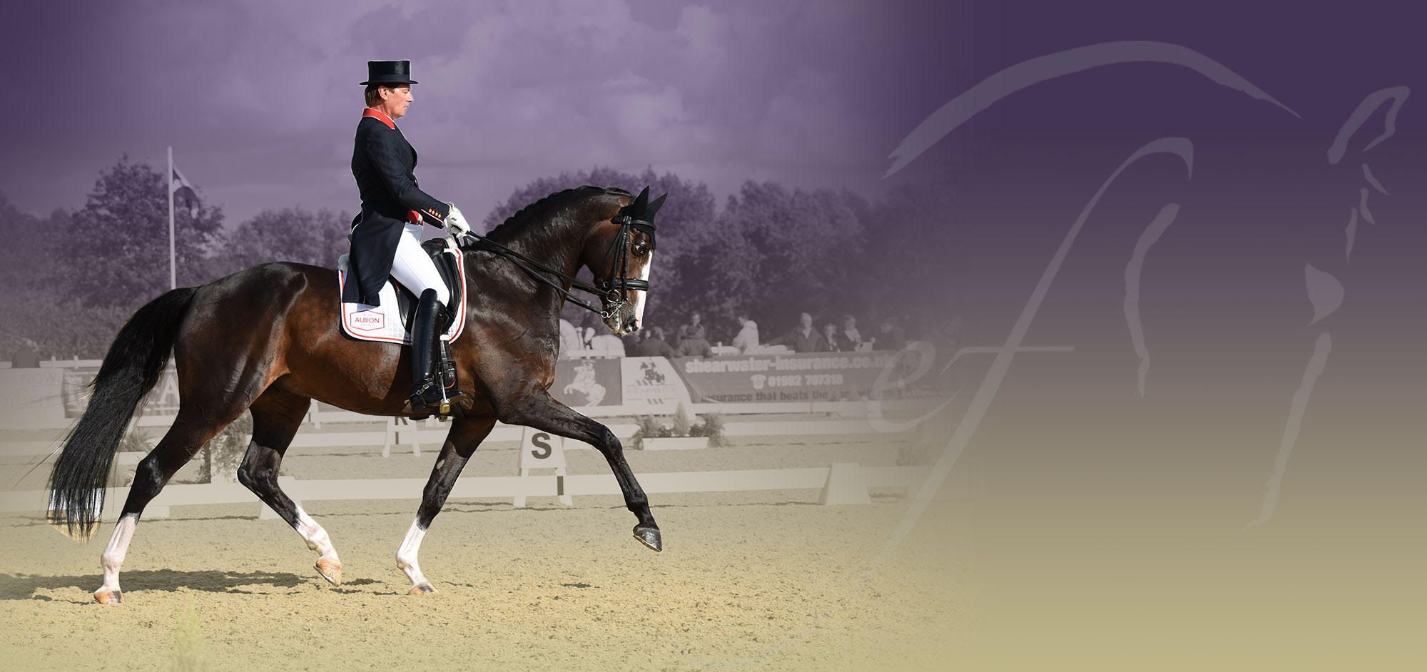 2000x942 Emile Faurie. International Dressage