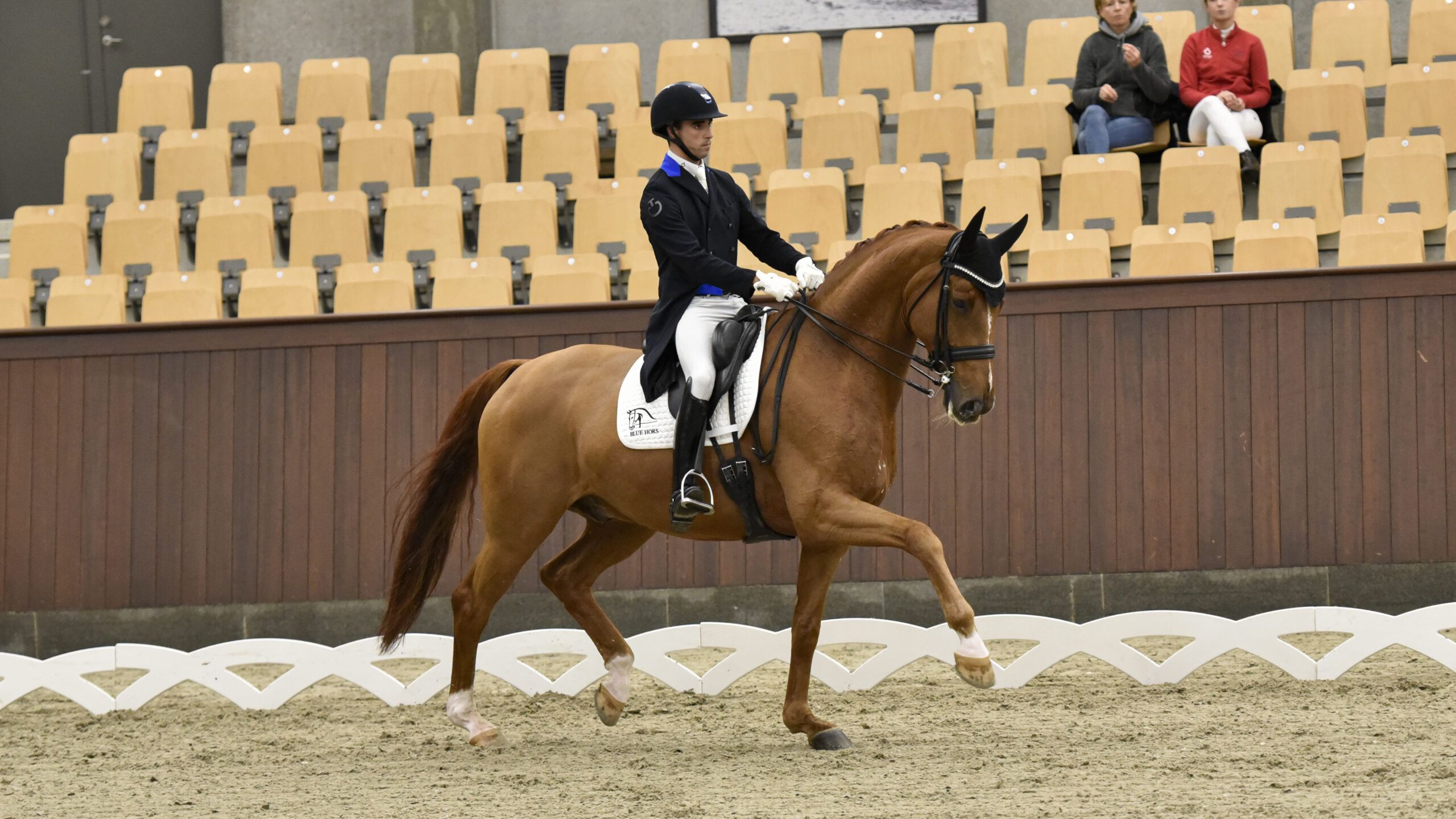 2560x1440 Day 1 at the Dressage Festival has been