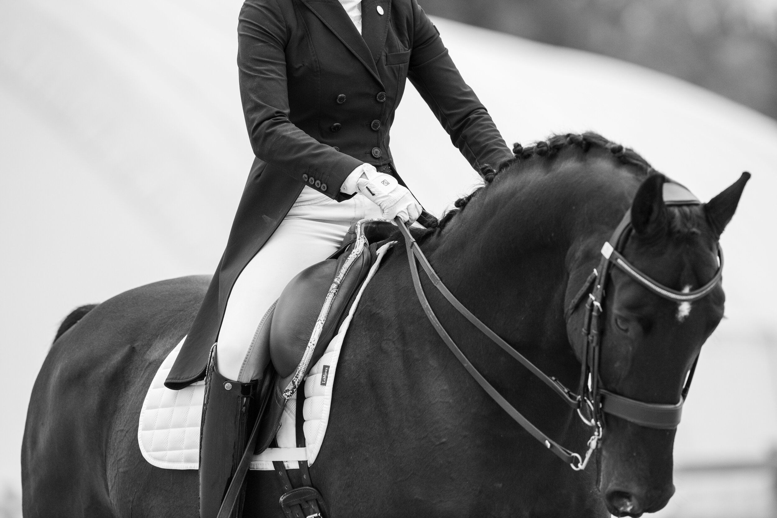 2500x1667 Dressage Training with Ashley Moore