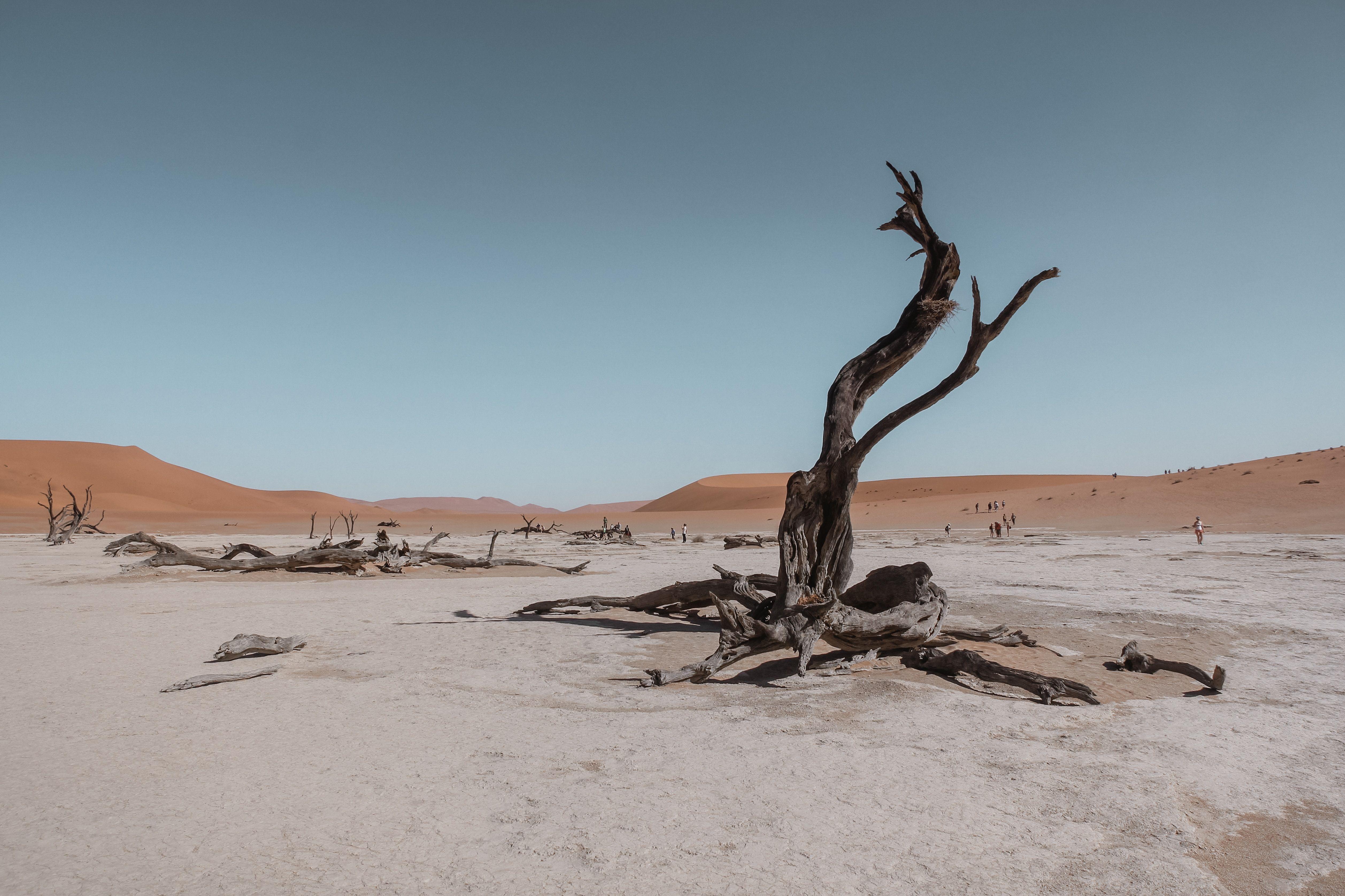5031x3354 5157x3438 #alone, #horizon, #chile, #rocky landscape