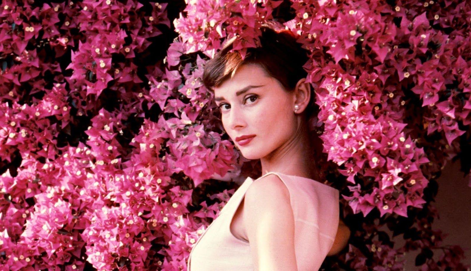 Audrey Hepburn Wallpapers - Top Free Audrey Hepburn Backgrounds