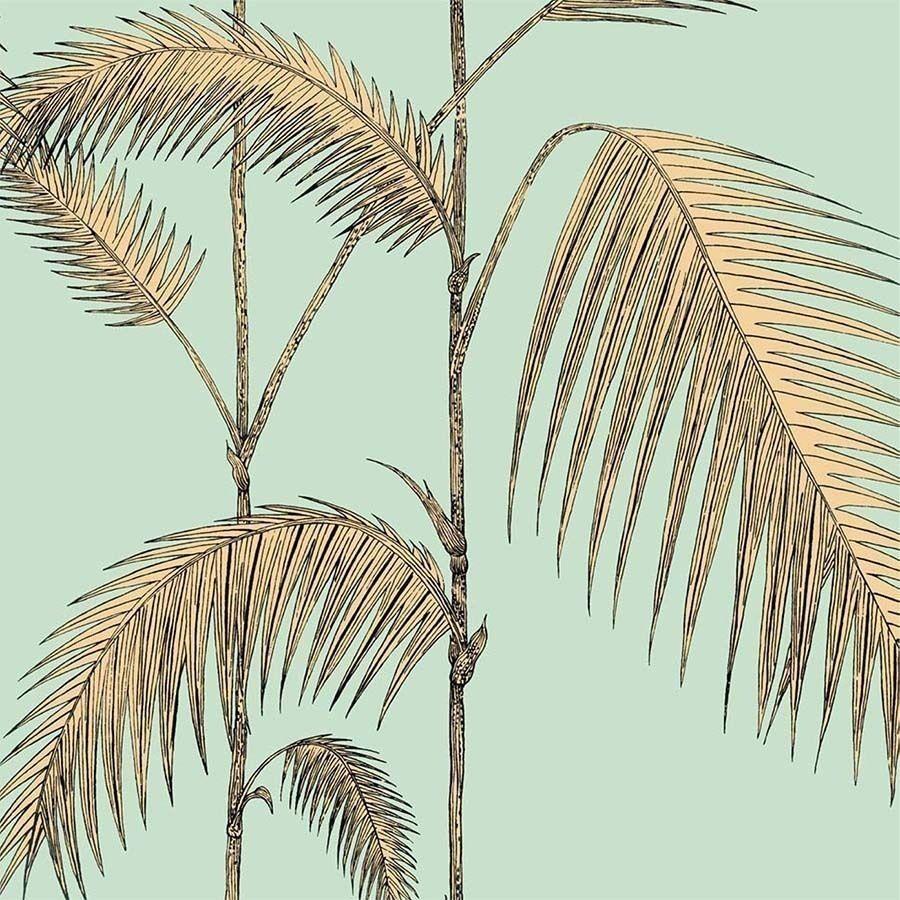900x900 Palm Leaves Wallpaper
