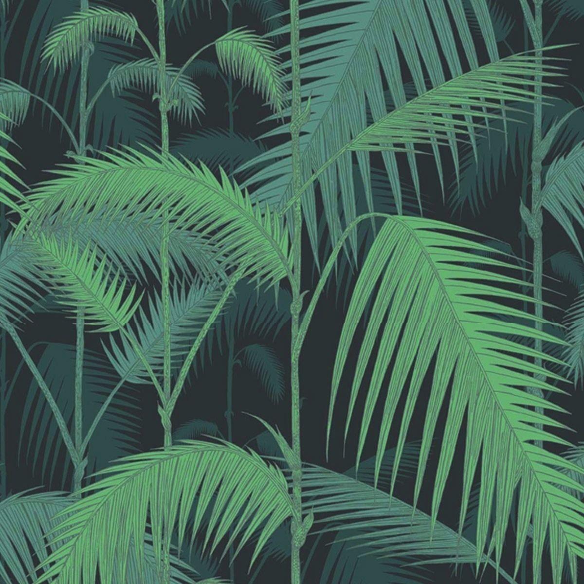 Jungle Leaves Wallpapers - Top Free Jungle Leaves Backgrounds