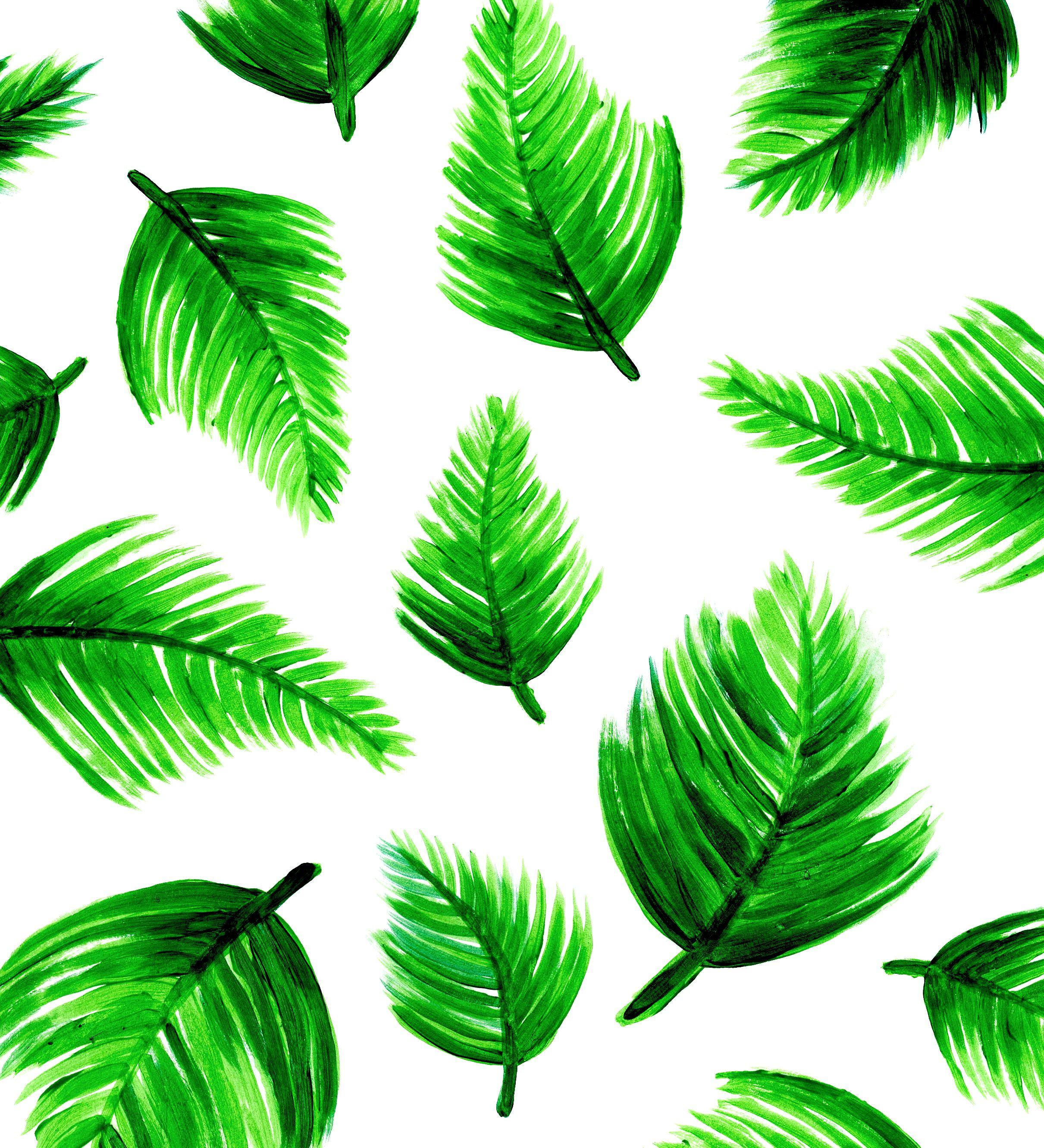 2421x2662 SaraFunduk.com Feeling Tropical iPhone Wallpaper