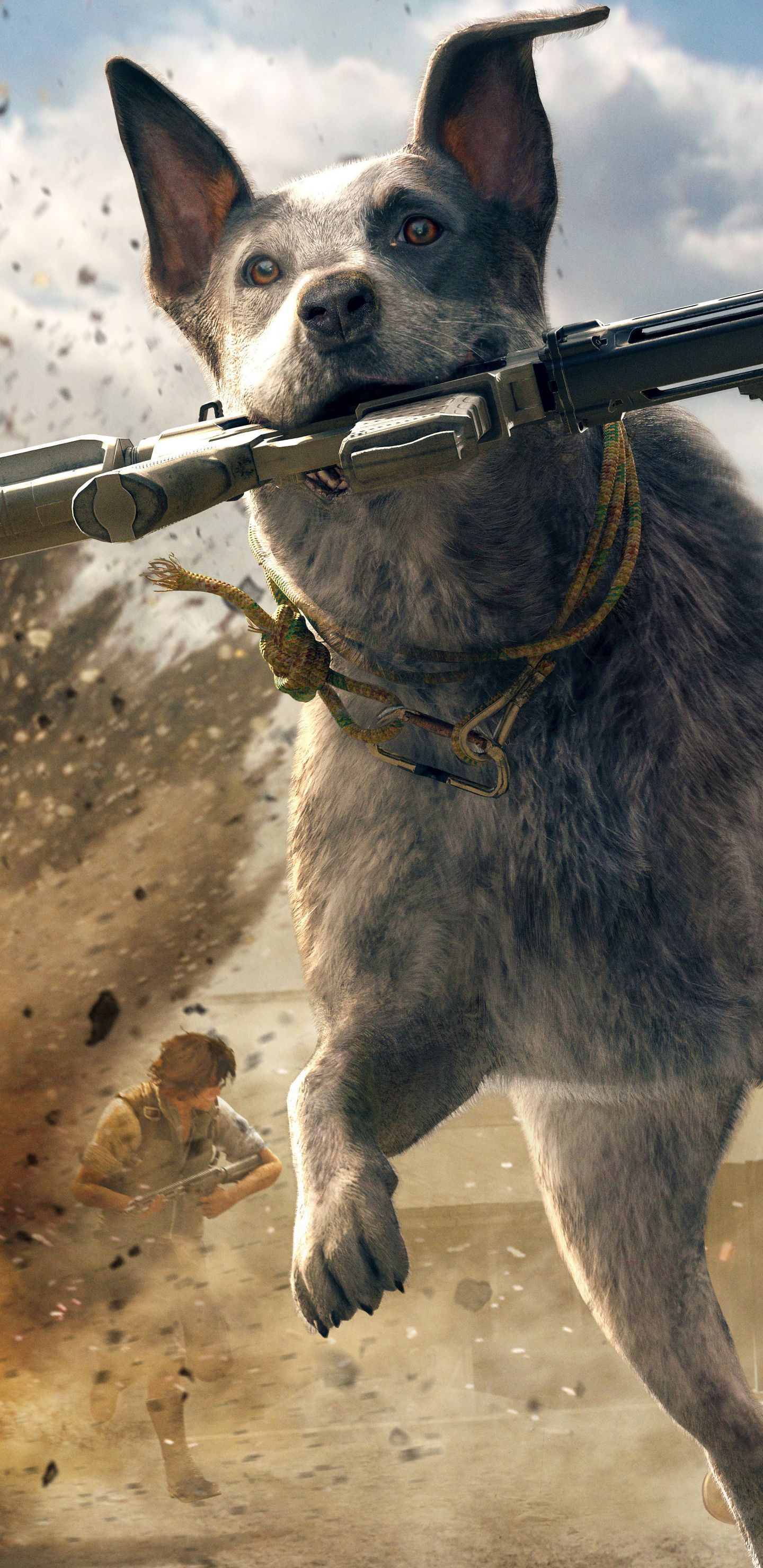 1440x2960 Mobile wallpaper: Video Game, Far Cry