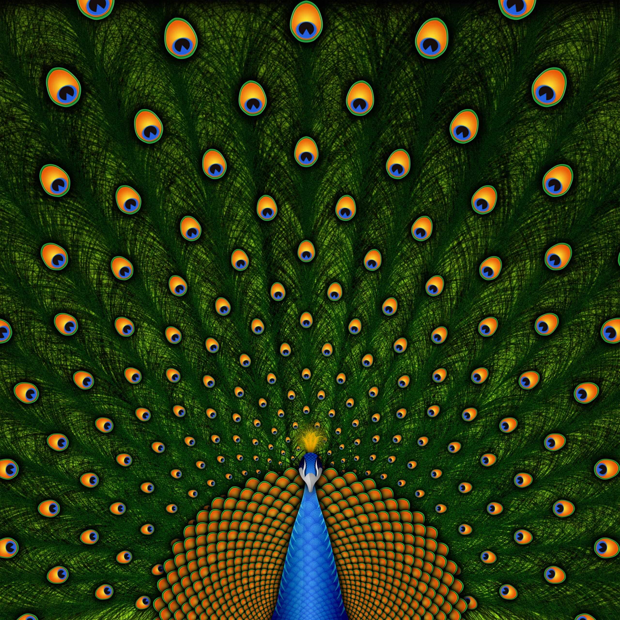 2560x2560 Peacock · Vlad.studio