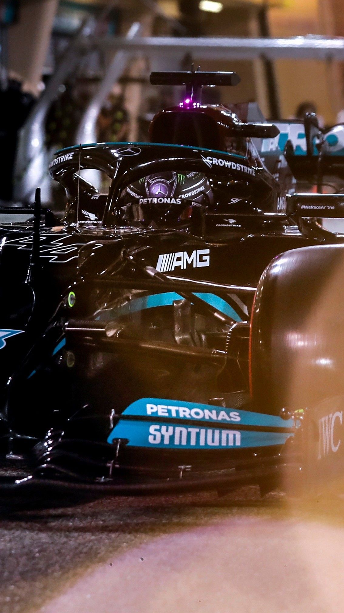 1134x2016 F1 Lewis Hamilton 2021 Mercedes