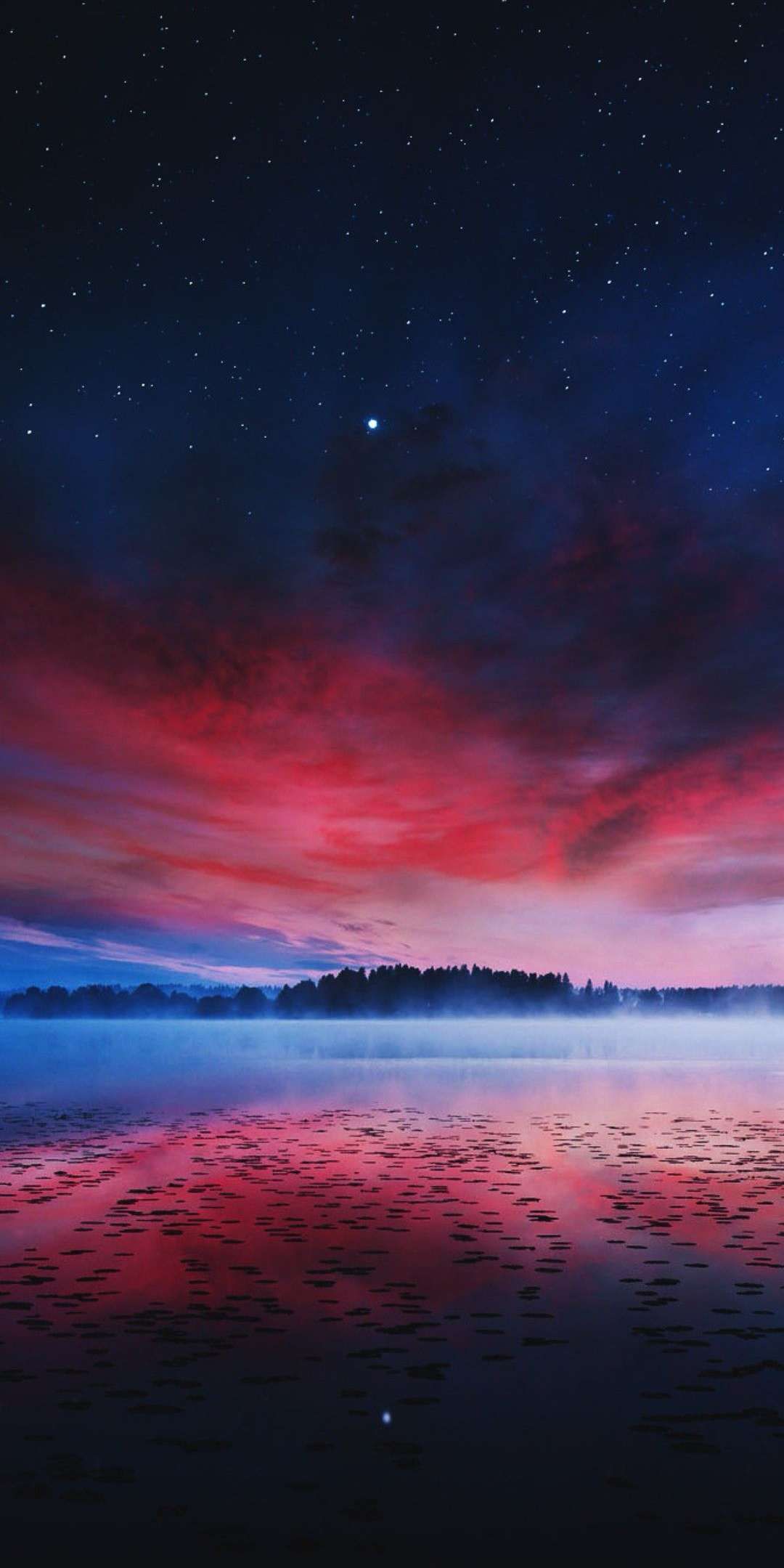 1080x2159 