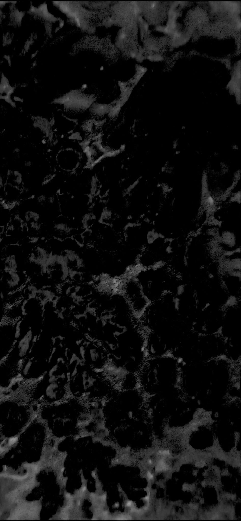 947x2048 The iPhone Pro Max Wallpaper Thread