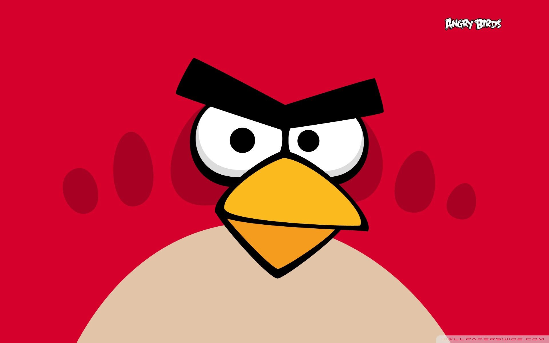 1920x1200 Angry Birds Bird Ultra HD Desktop