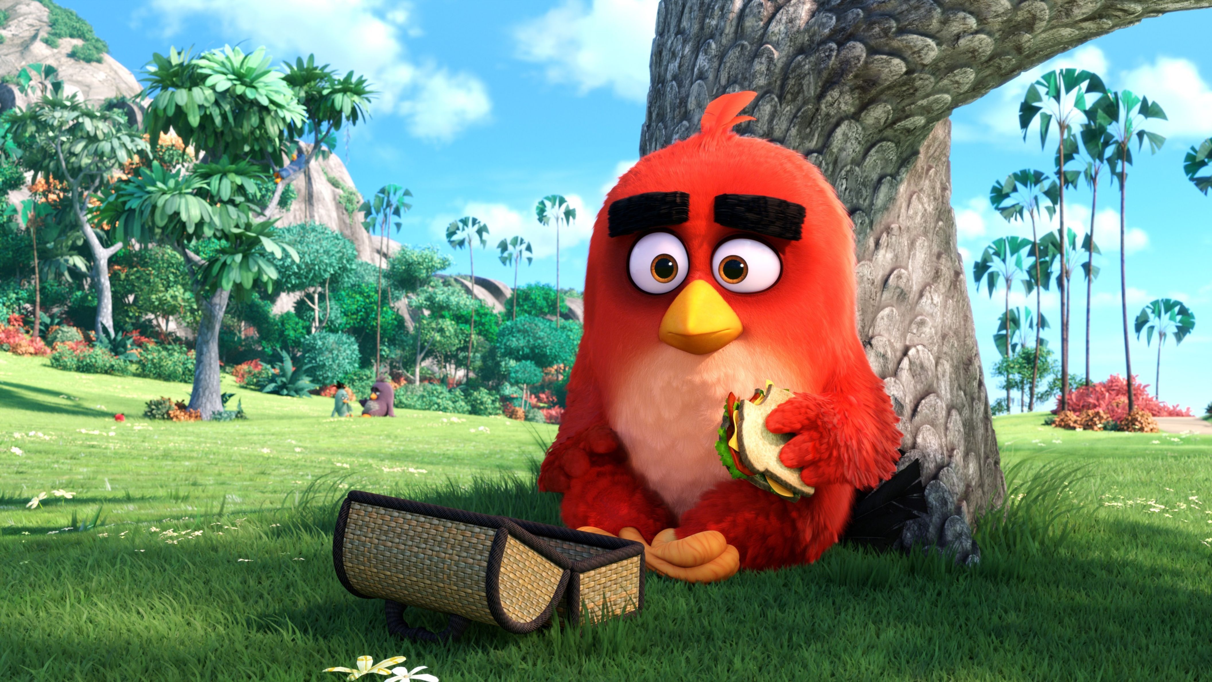 Angry Birds 4k Wallpapers - Top Free Angry Birds 4k Backgrounds ...