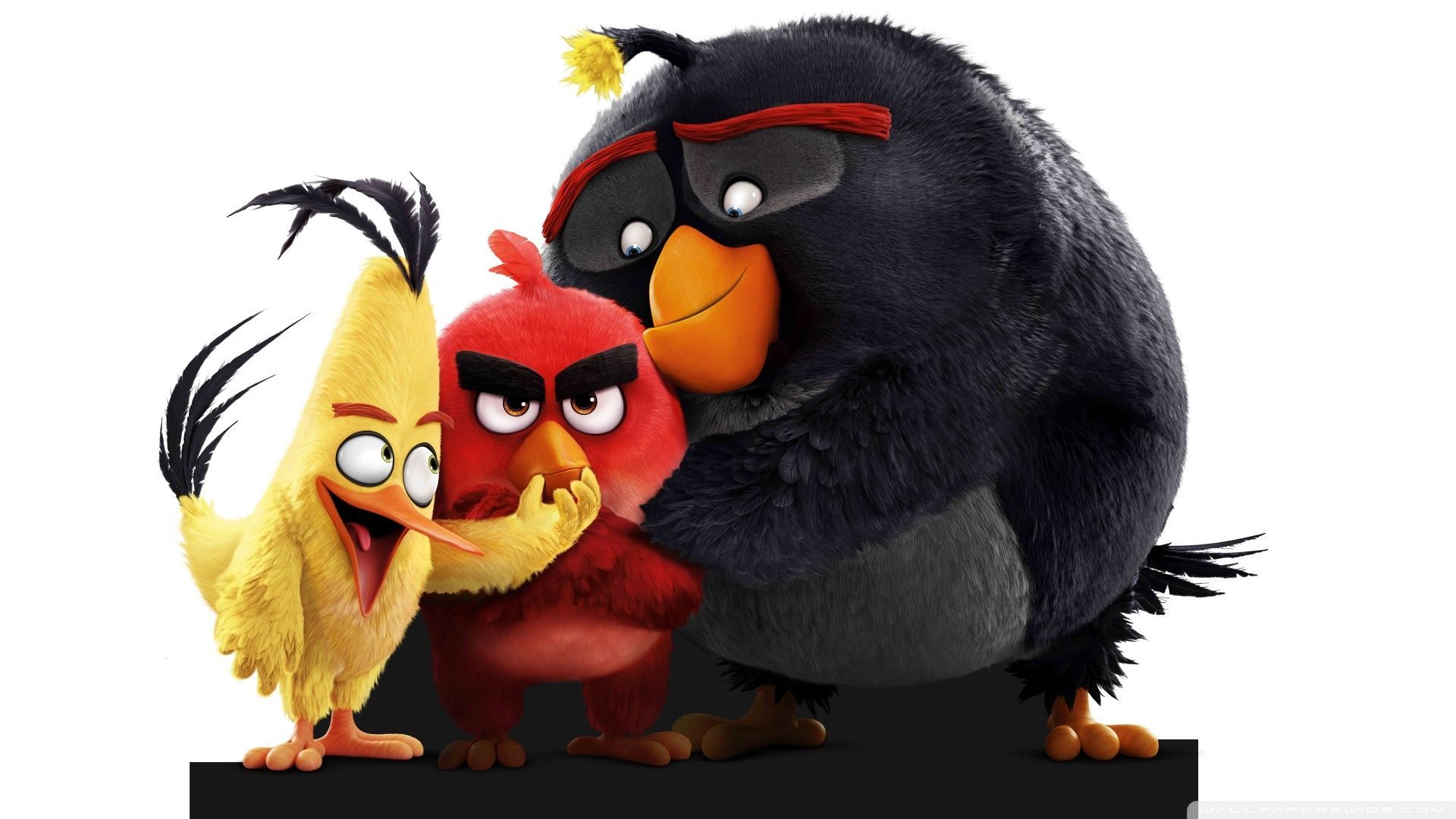 1920x1080 Angry Birds Movie 2016 Ultra HD Desktop