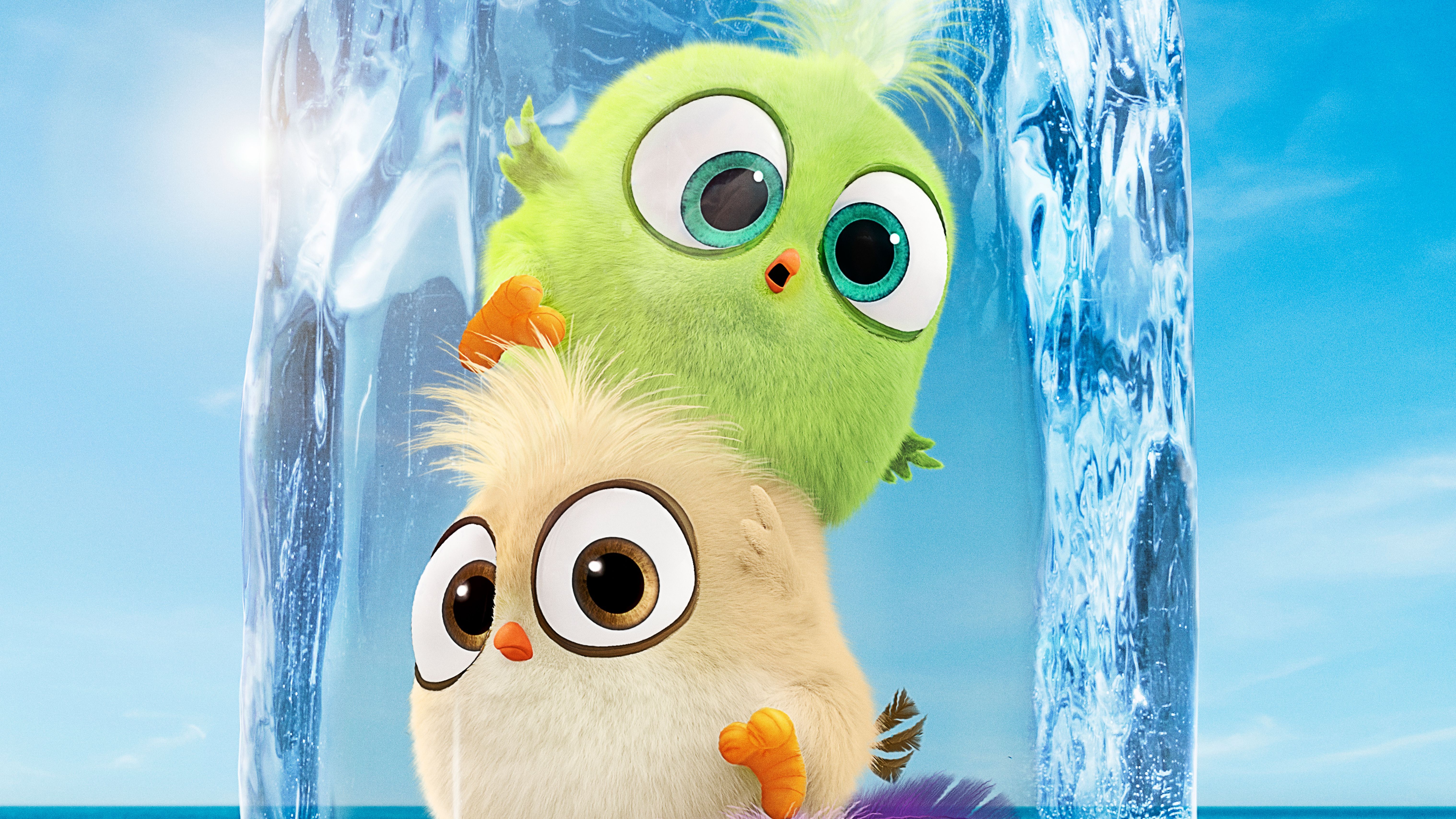 6072x3416 Angry Birds Movie 2 4k Ultra HD Wallpaper
