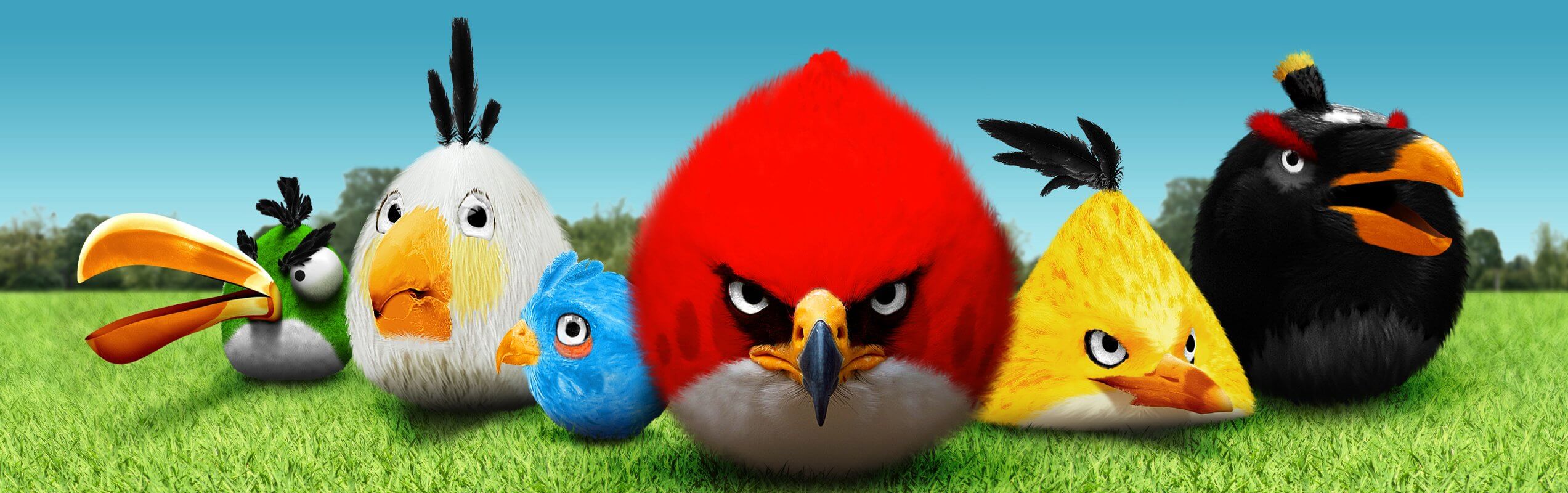 2545x800 Angry Birds Real Life 4K Wallpaper