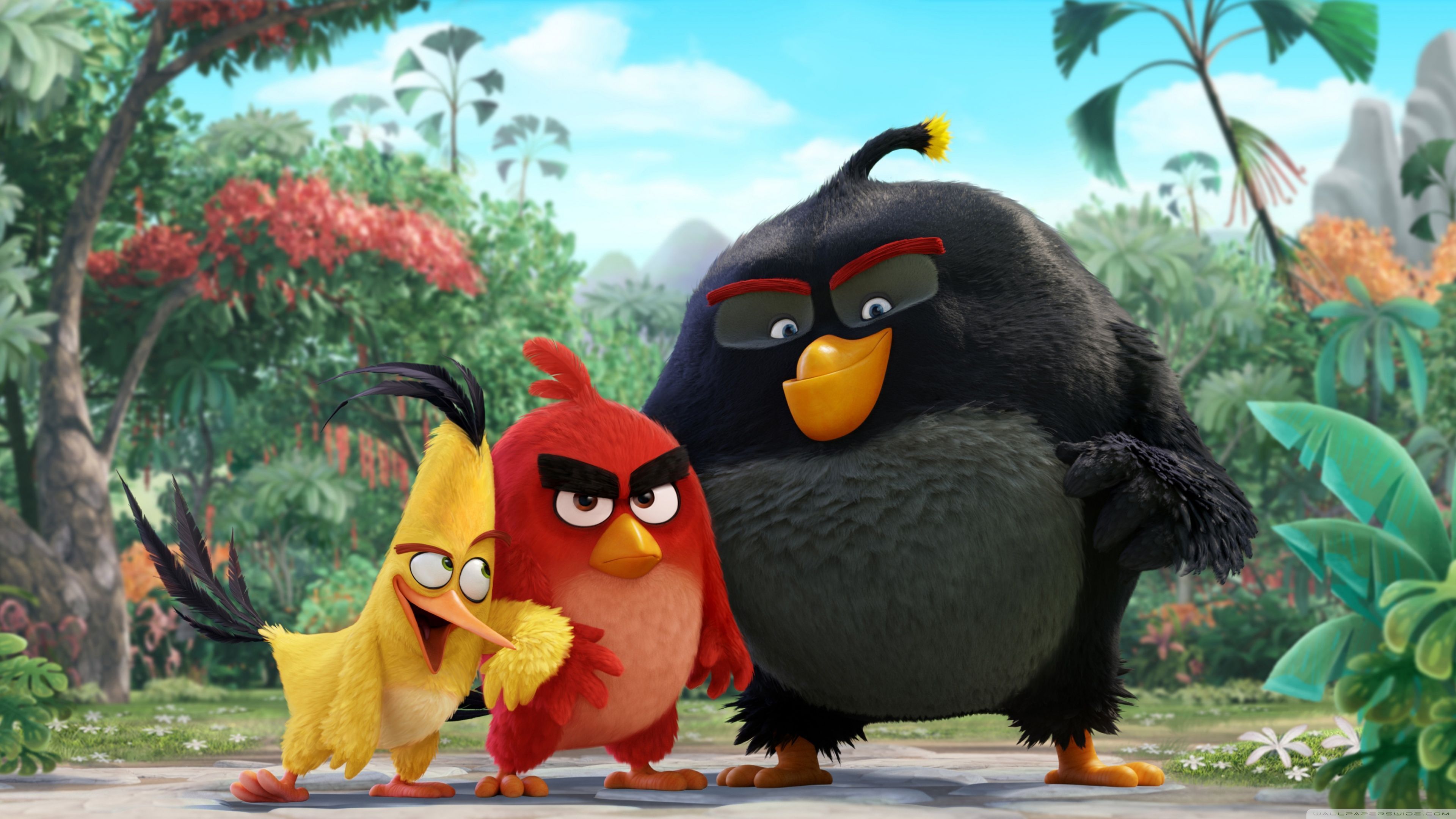 3840x2160 Angry Birds Movie 2016 Ultra HD Desktop