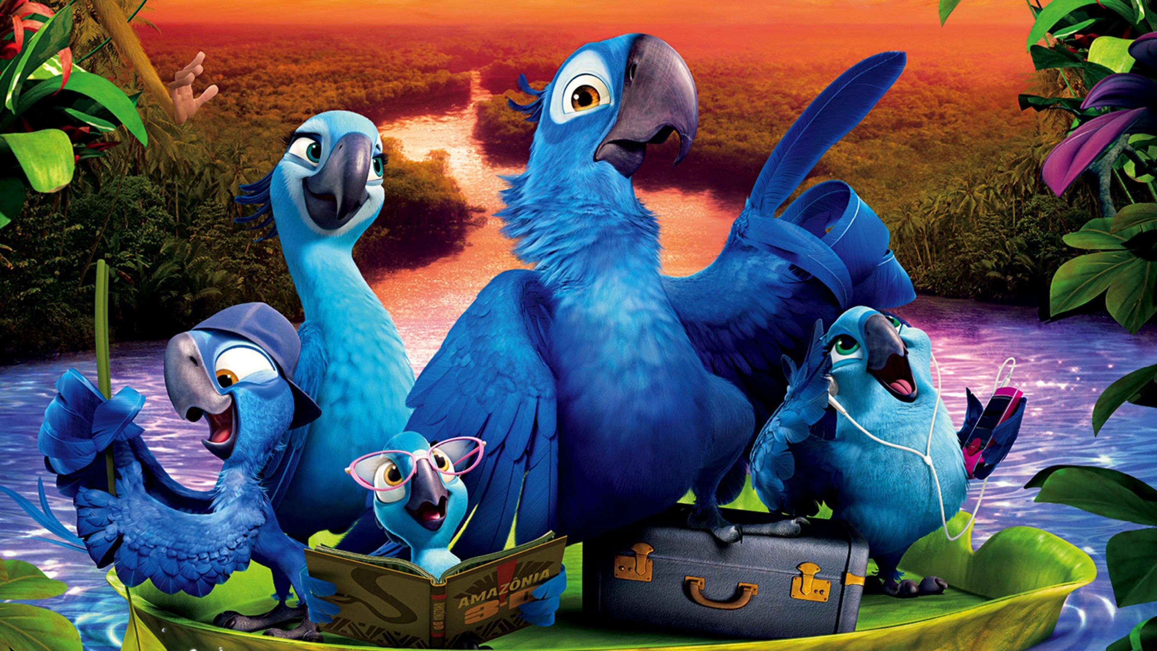 3840x2160 Download Angry Birds Rio Wallpaper