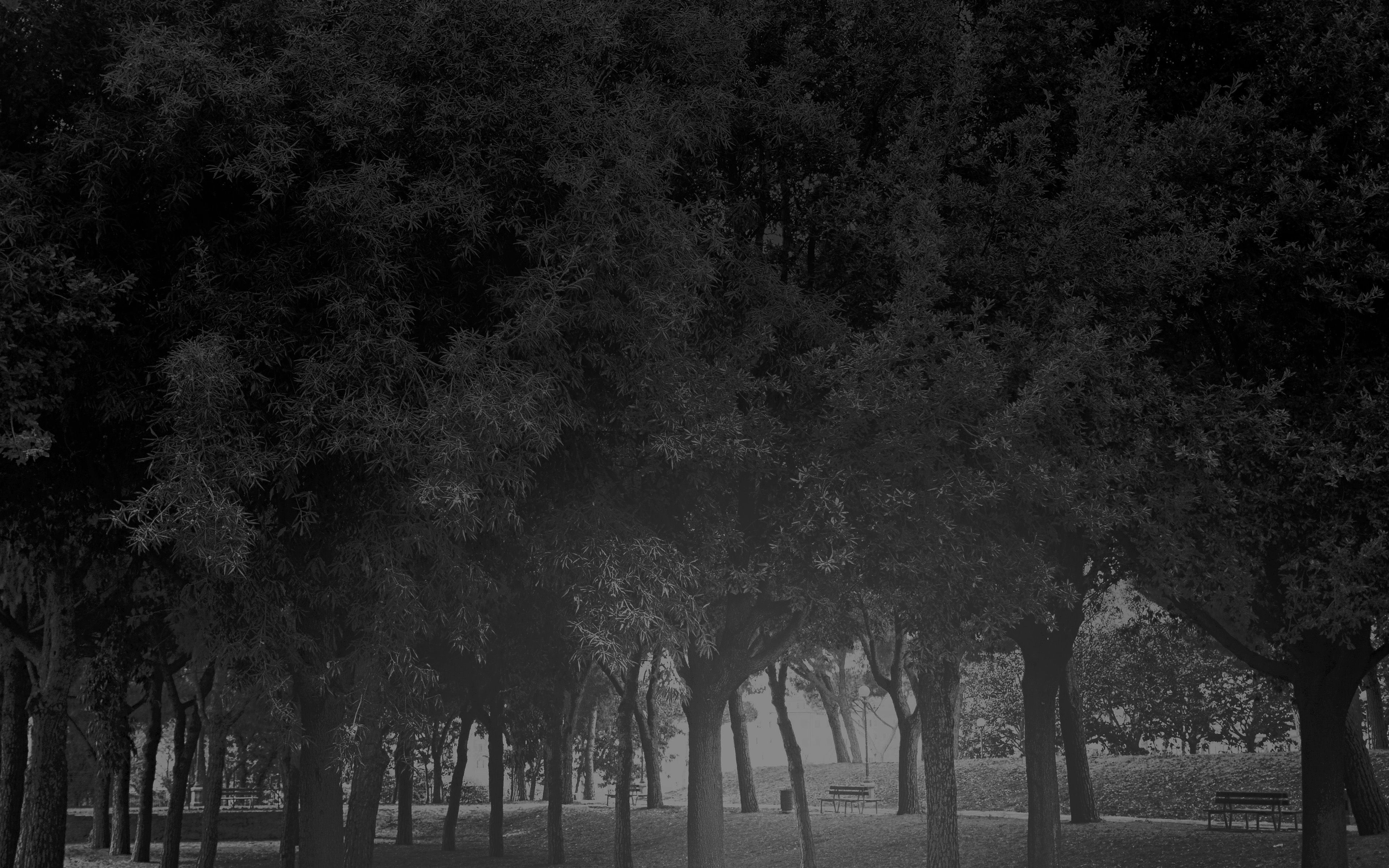 3840x2400 Dark Garden Wallpaper