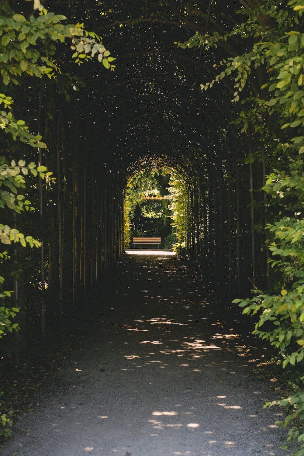 1000x1500 Dark Garden Wallpaper