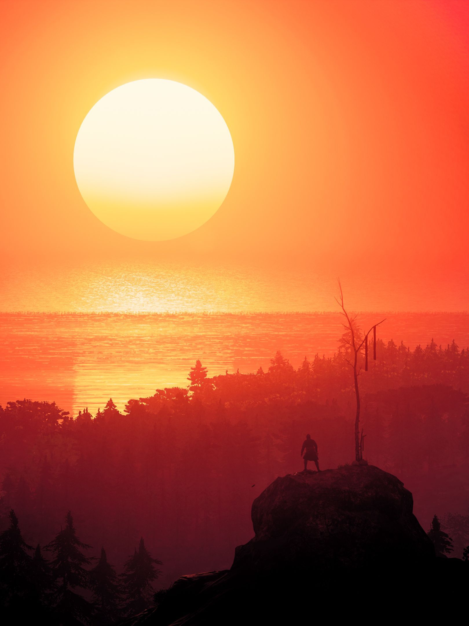 1620x2160 wallpaper 1620x2160 silhouette, alone
