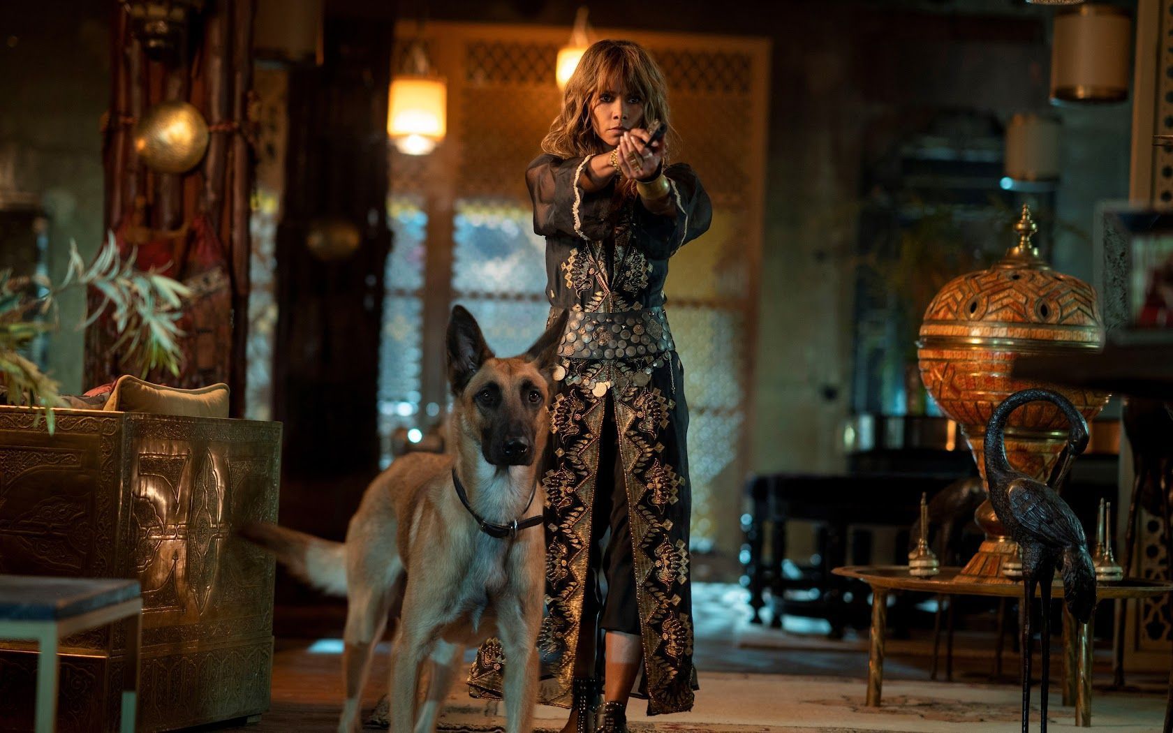 1680x1050 John Wick 3 Dog Halle Berry 8K Wallpaper
