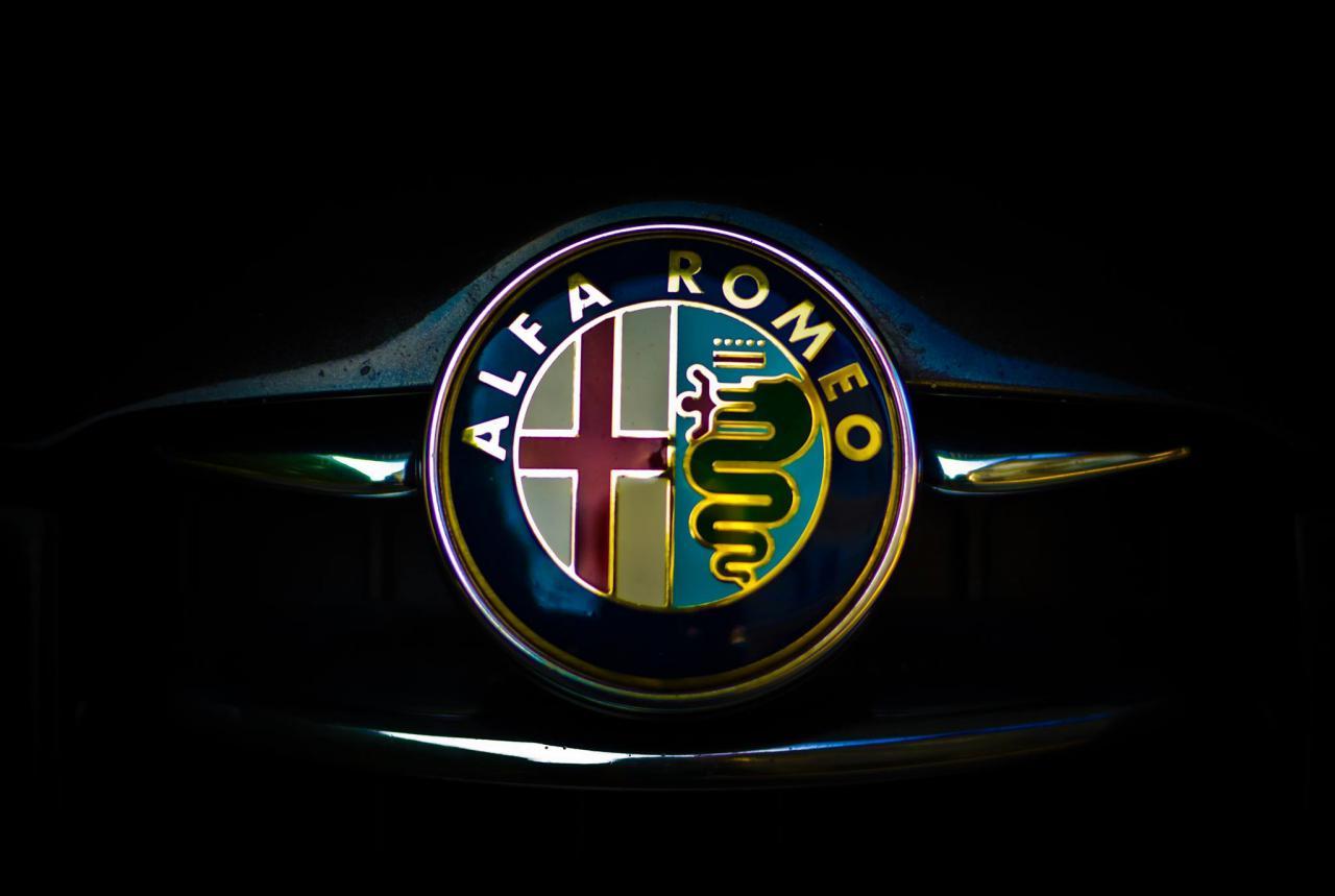 Alfa Mobile Logo Alfa Mobile Logo