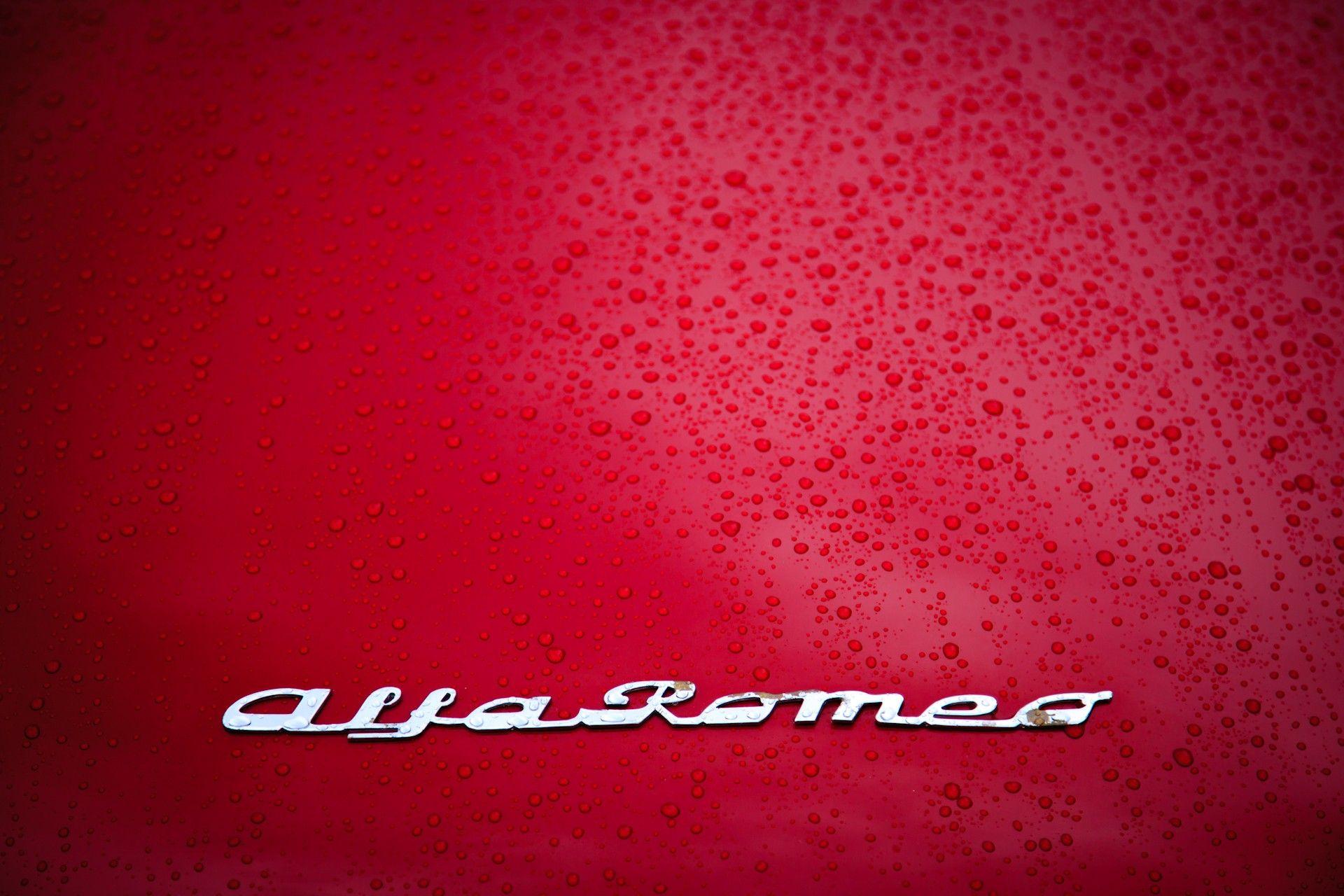 Alfa Romeo Logo Wallpapers Top Free Alfa Romeo Logo Backgrounds Wallpaperaccess
