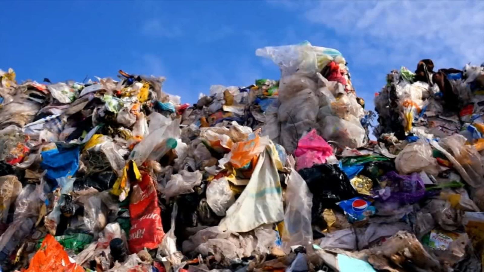 1600x900 Food waste trapped between layers