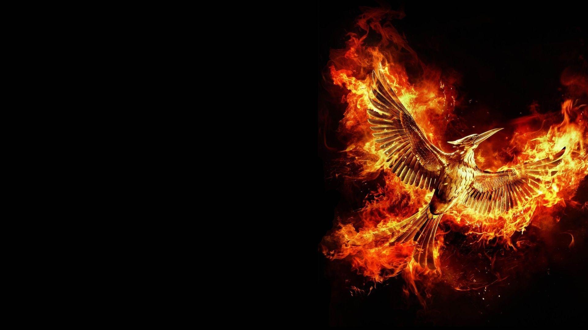 1920x1080 The hunger games wallpaper Gallery