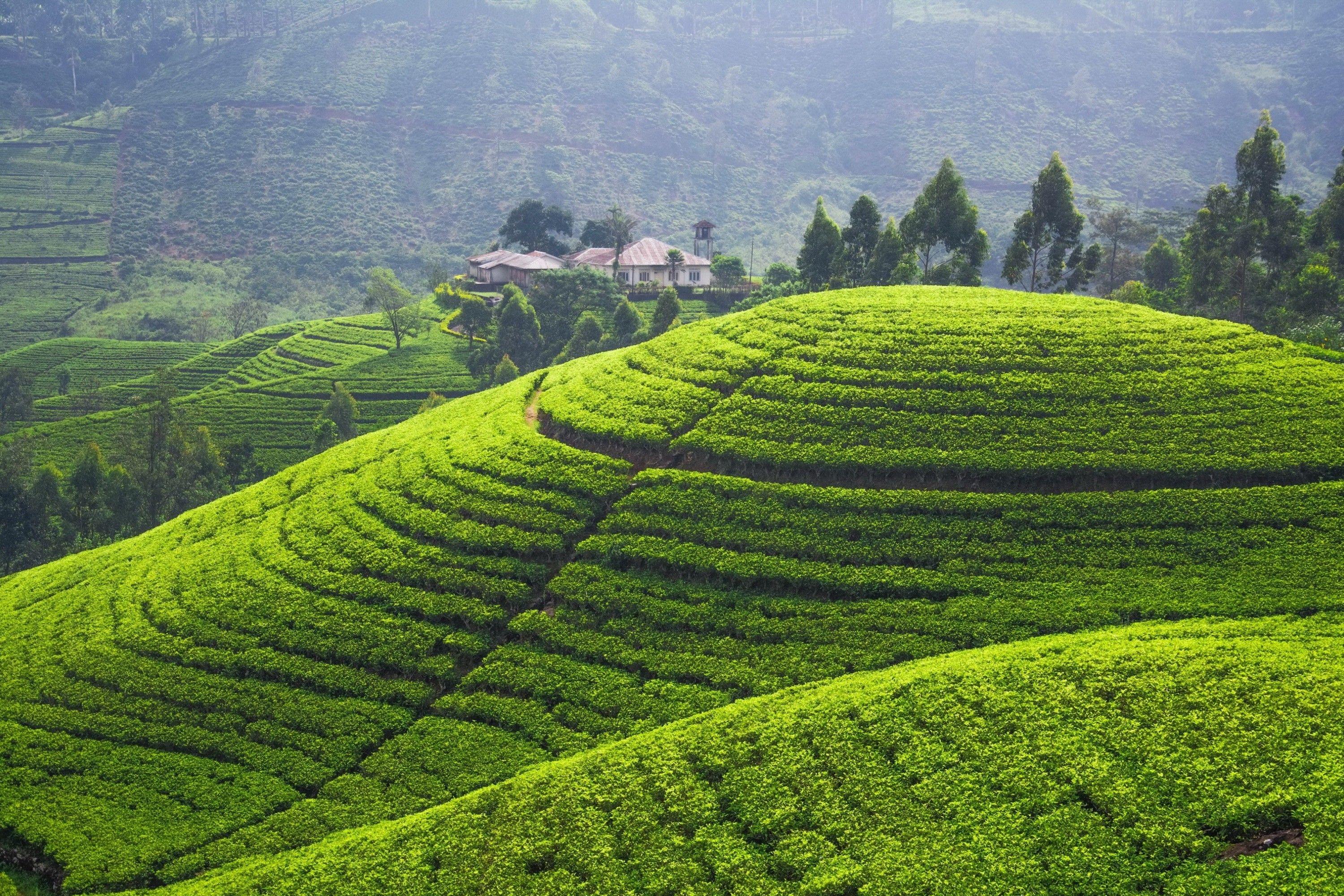 3000x2000 Sri Lanka HD Wallpaper and Background Image