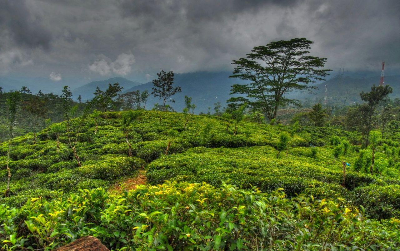 1280x804 Sri Lanka Island wallpaper. Sri Lanka Island