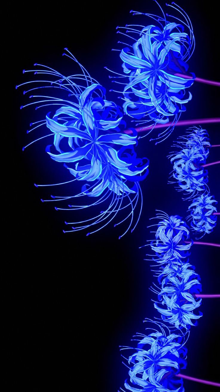 Blue Spider Lily Wallpapers - Top Free Blue Spider Lily Backgrounds ...