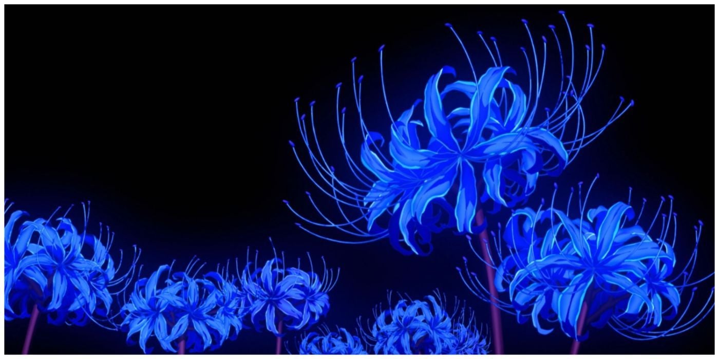 Blue spider lily wallpapers top free blue spider lily backgrounds