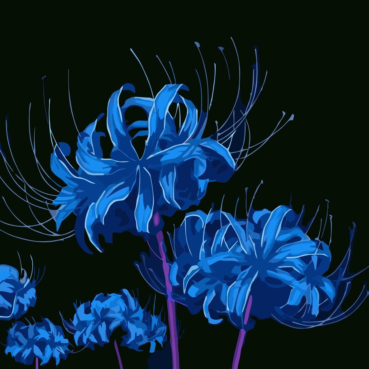 Blue Spider Lily Wallpapers - Top Free Blue Spider Lily Backgrounds ...